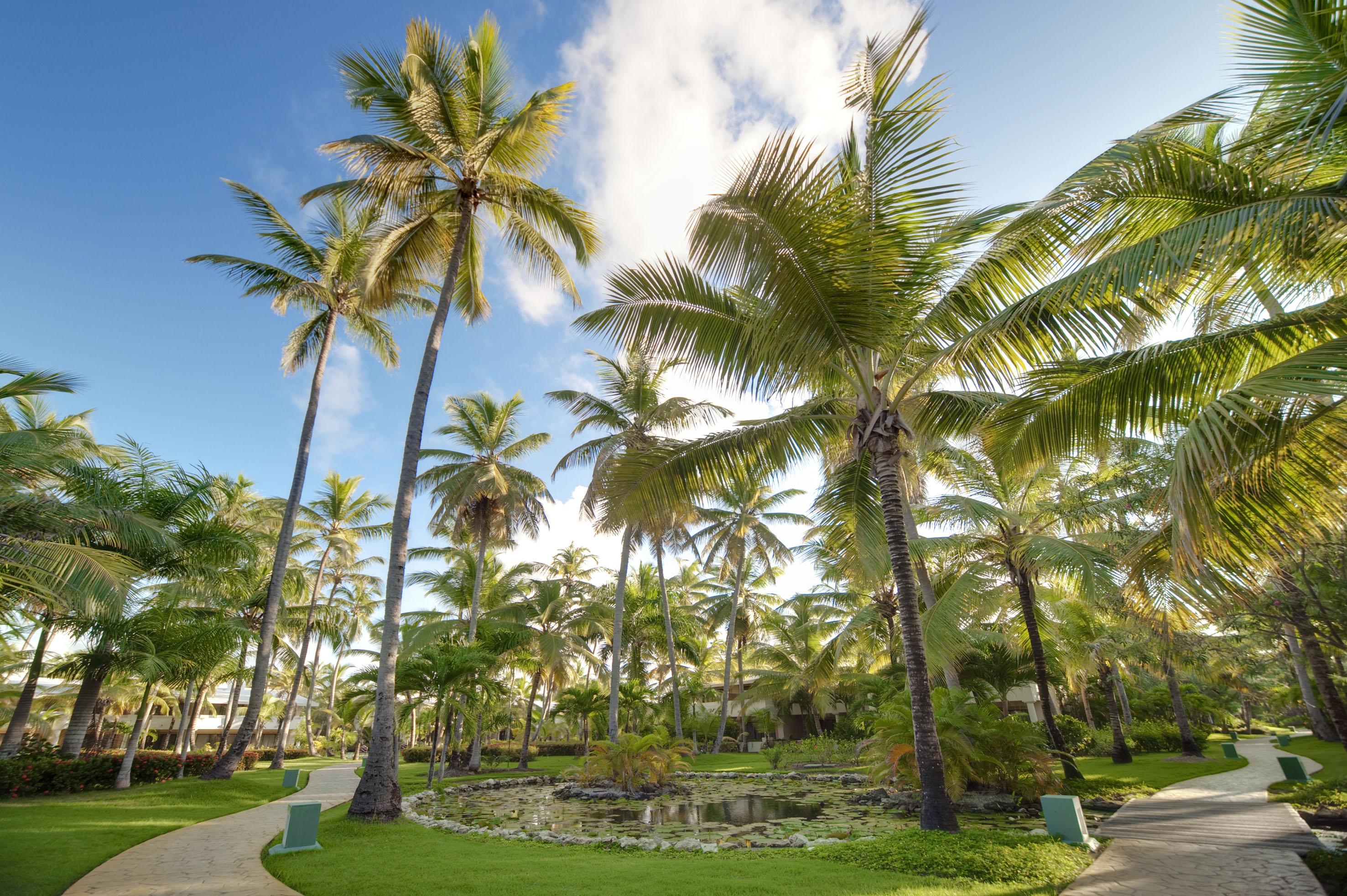 Resort Meliá Caribe Resort-all Inclusive 5*